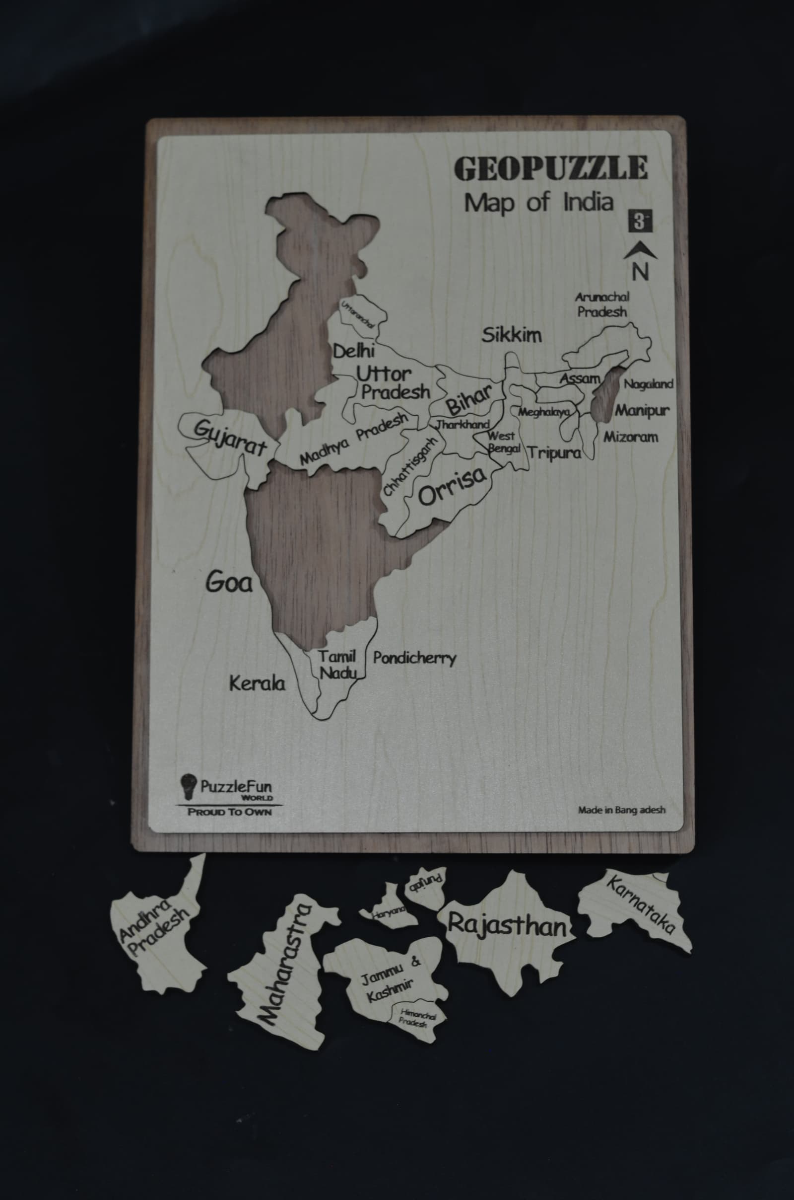 Geo Puzzle India Map