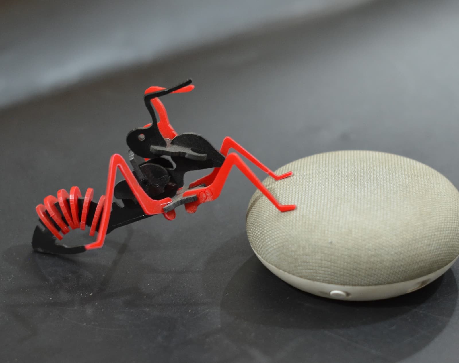 Ant 3d puzzle