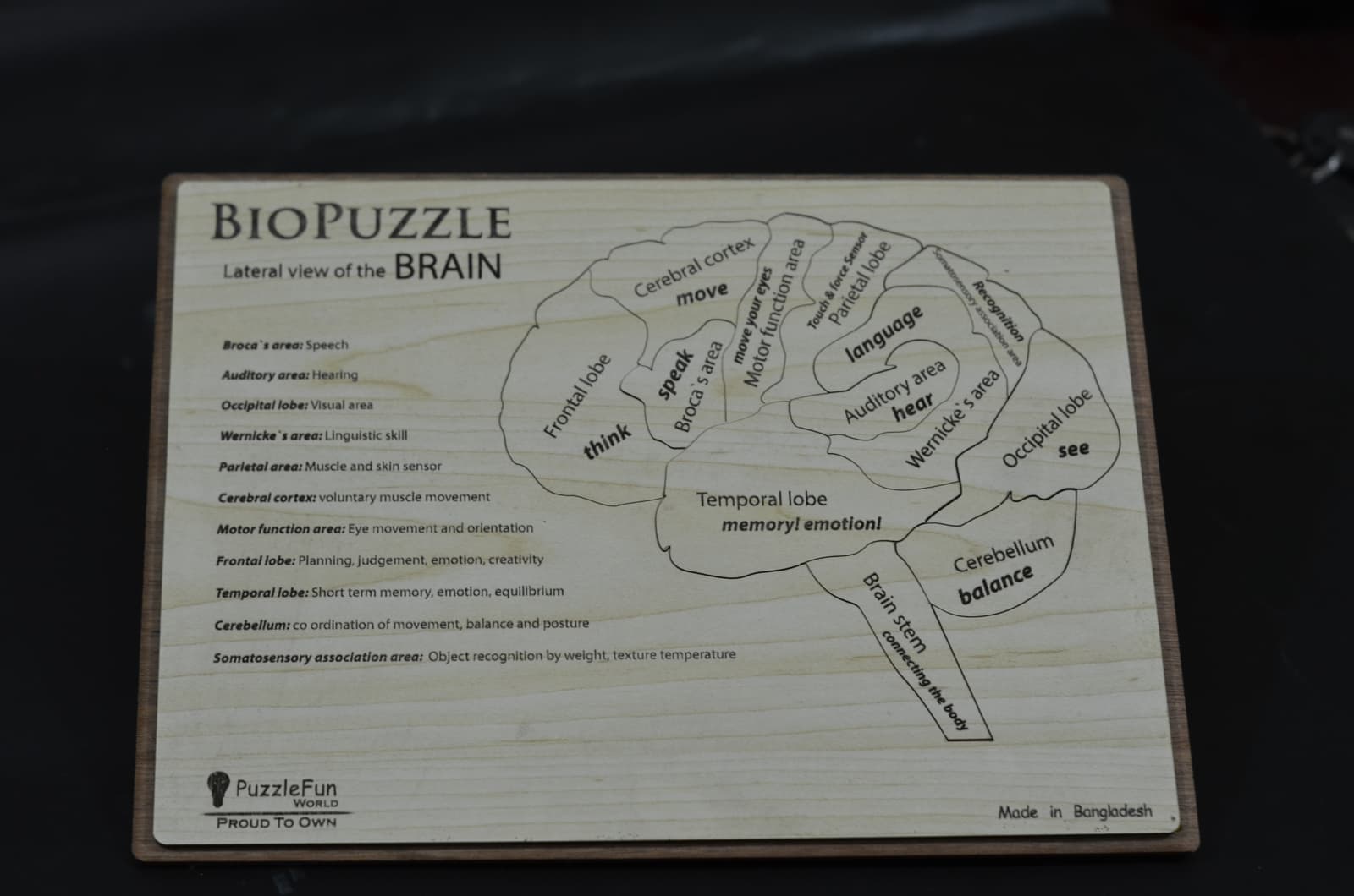 Bio Puzzle (Brain)(Lateral View) Wooden