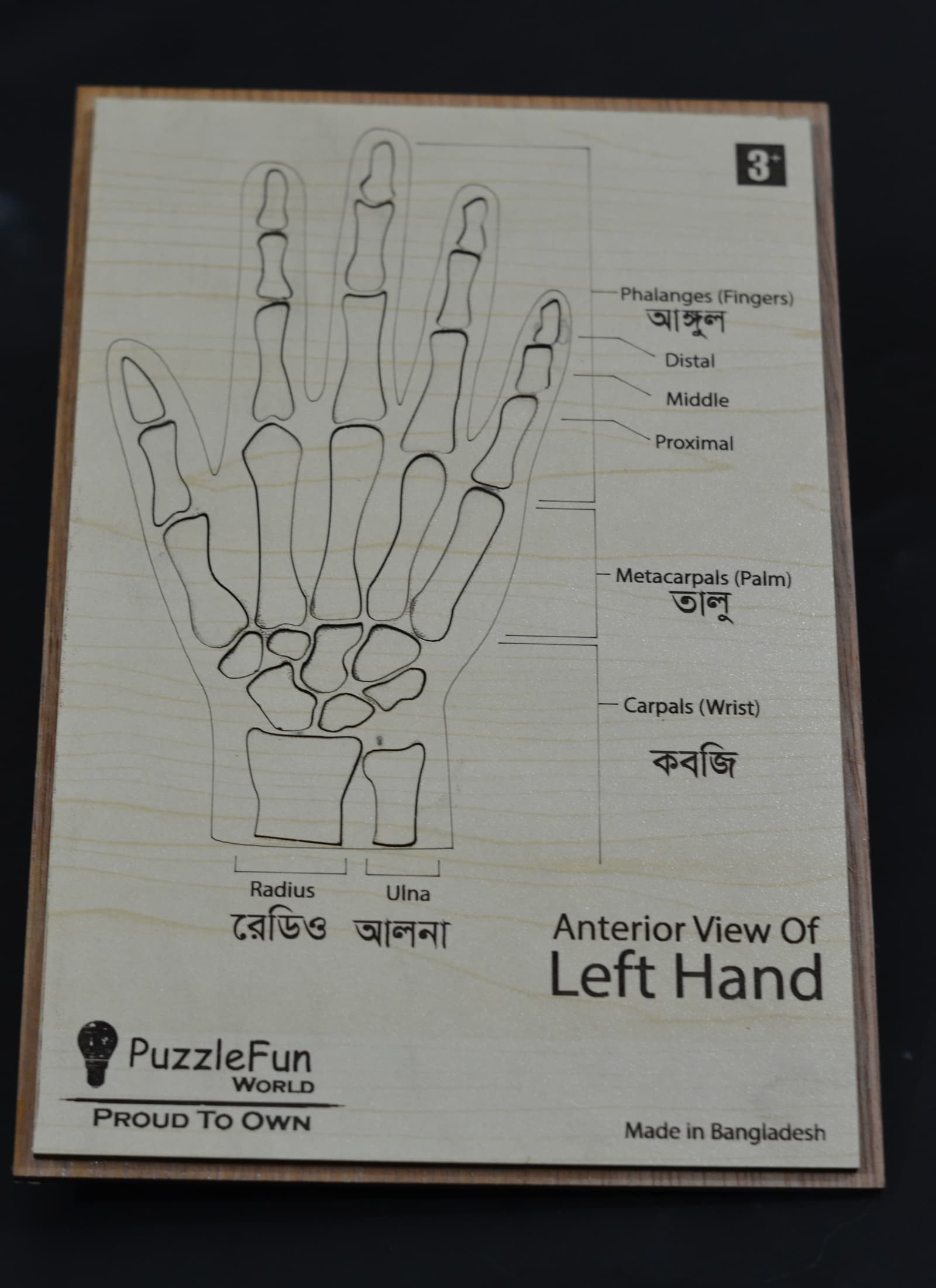 Bio Puzzle